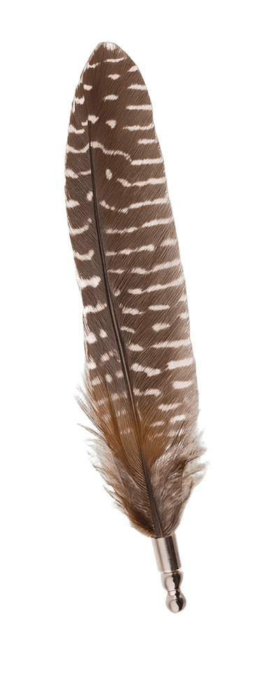 Prendedor Pluma Solapa | Varios  (Cod PL)