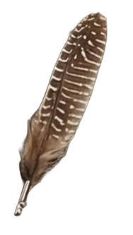 Prendedor Pluma Solapa | Varios  (Cod PL)